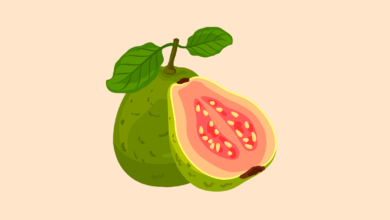 ما هي فوائد الجوافة للجسم؟